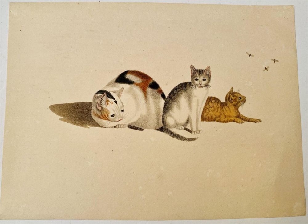 Lot 239: Lithograph cats signed Carl Reichert -1875