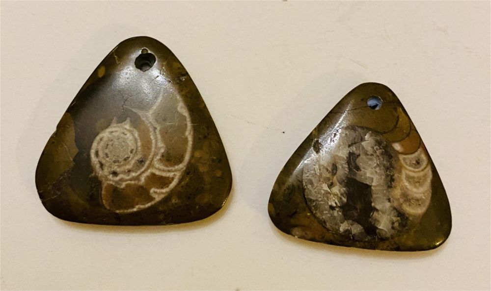 Lot 364: Ammonite triangular drilled fossils