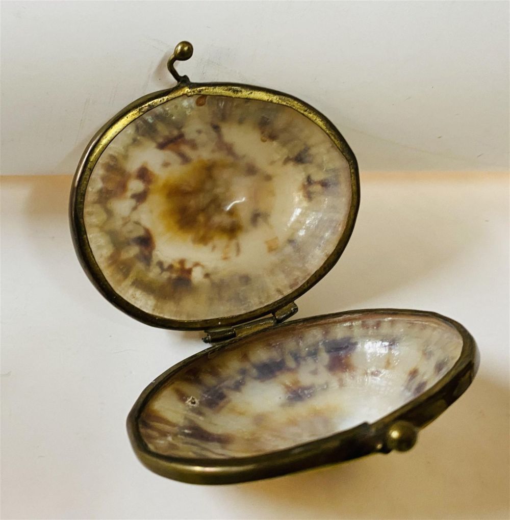 Lot 315: Shell limpet vintae box with metal bezel