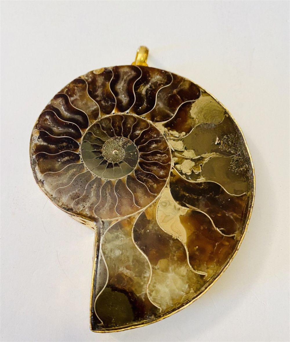 Lot 332: Ammonite large fossil pendant bezel set