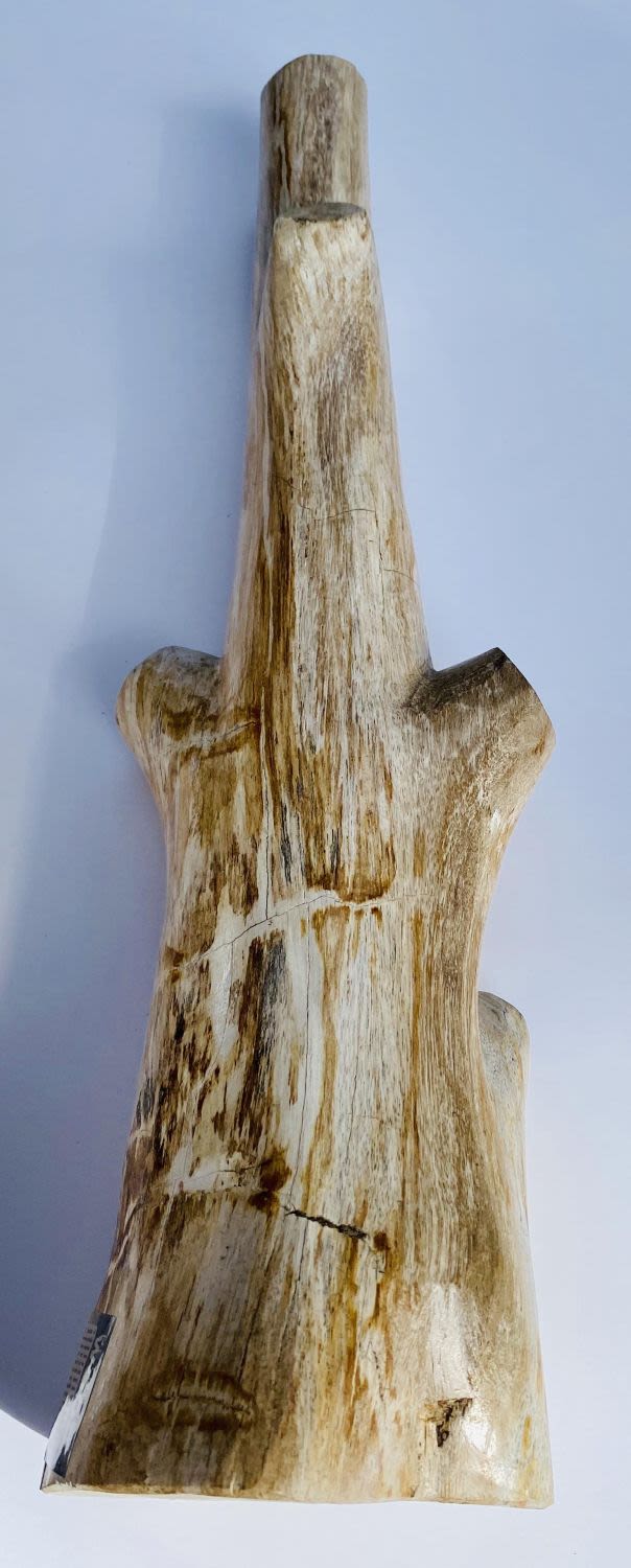 Lot 450: Petrified wood stand- ancient branch