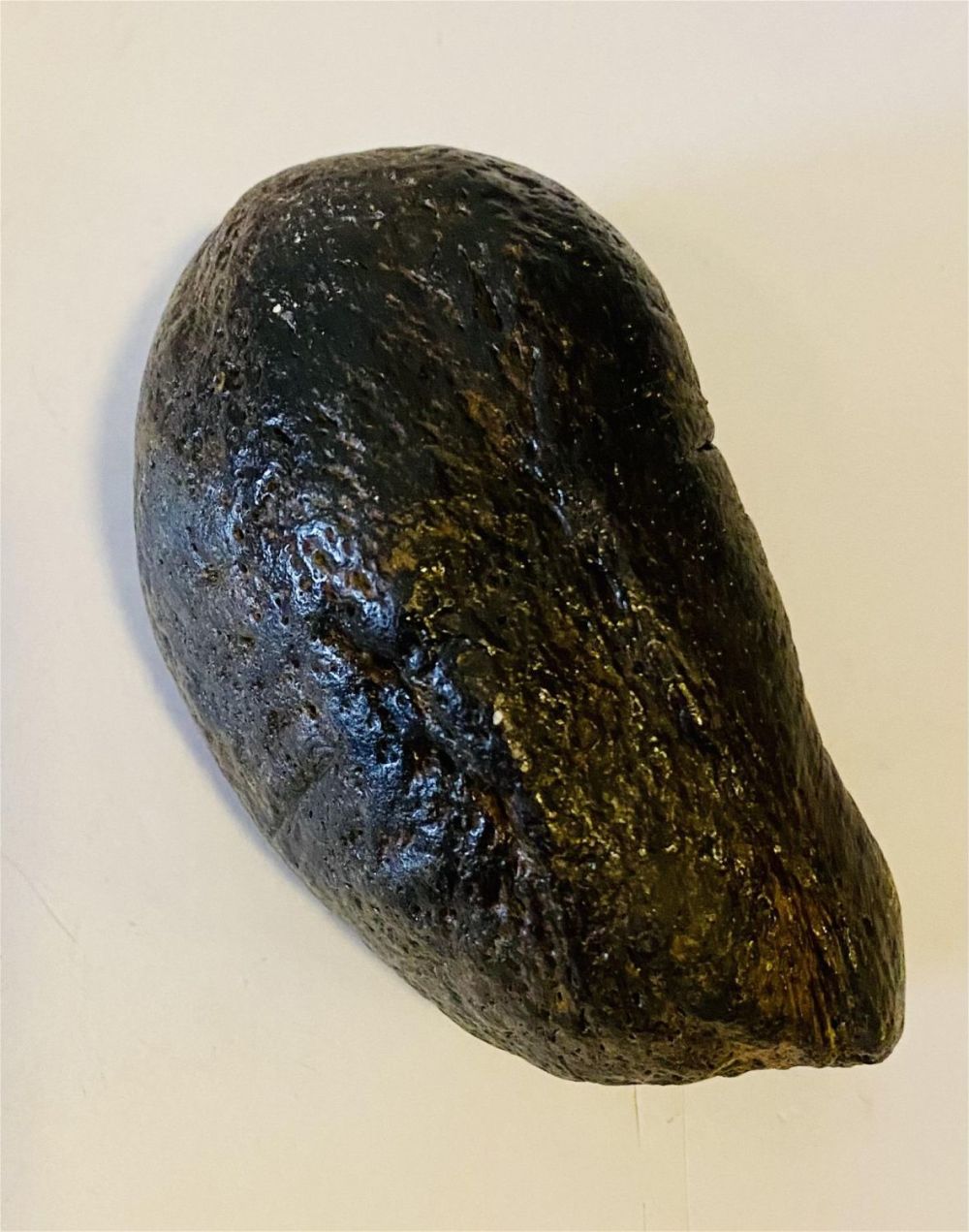 Lot 474: Eardrum fossil specimen from whale