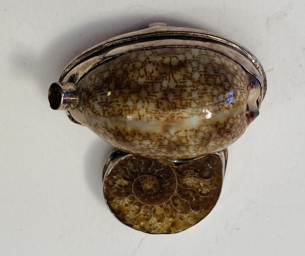 Lot 355: Shell cowrie custom fossil pendant