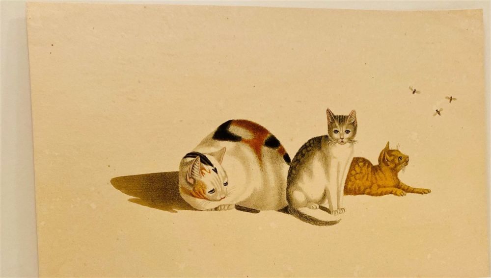 Lot 275: Lithograph Carl Reichert of cats and bees