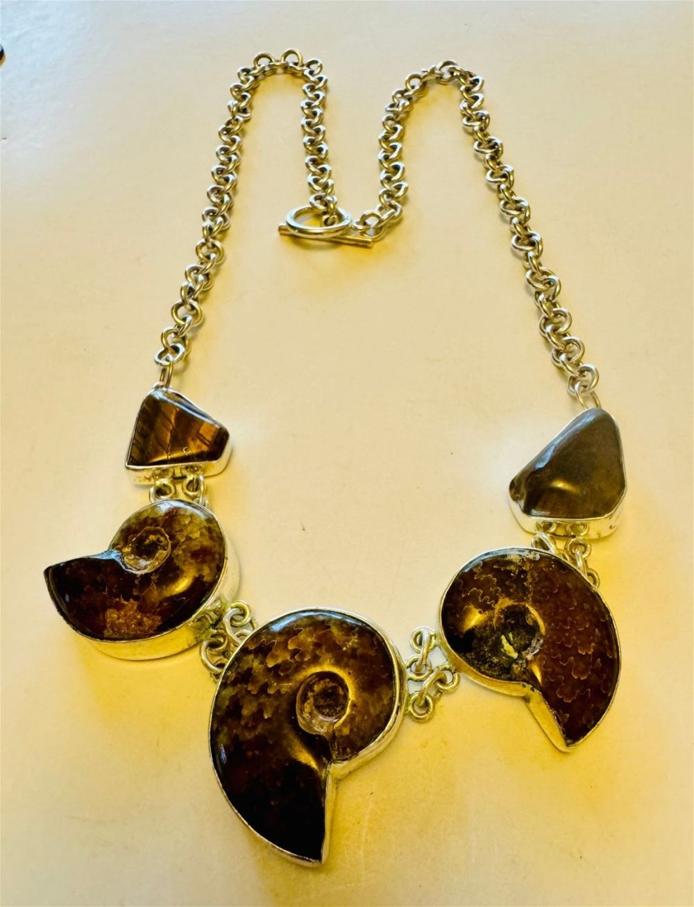 Lot 311: Ammonite sterling necklace /fossil