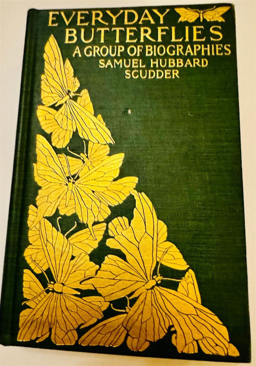 Lot 146: Every Day Butterflies book 1899 by Samuel Hubbard Scudder