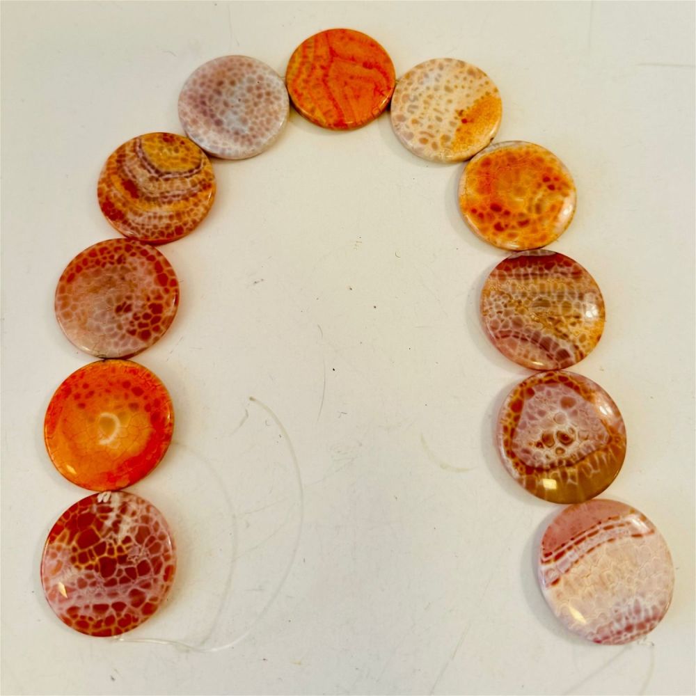 Lot 204: Coral flat polished beads drilled