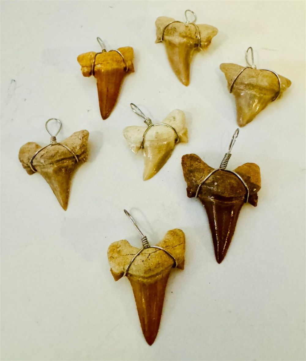 Lot 448: Shark tooth pendants wire wrapped