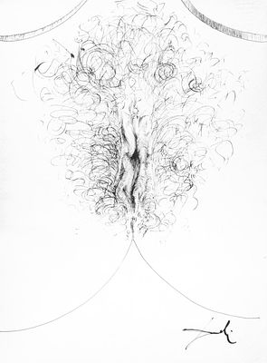 Salvador Dali (1904-1989), 'Sexe', 1971, original Chinese ink drawing heightened with pastel 