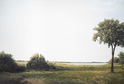 Beate Gutschow (1970), 'LS#10', 2001, ink-jet print, No 6/10 125 x 200 cm. (49.21 x 78.73 in.). 