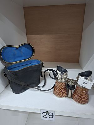 vintage binoculars + case