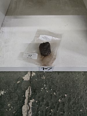 lodgestone variety of magnetite iron oxide