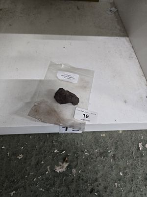 lodgestone variety of magnetite iron oxide