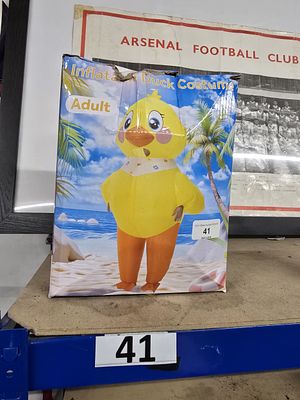 duck costume - worn once