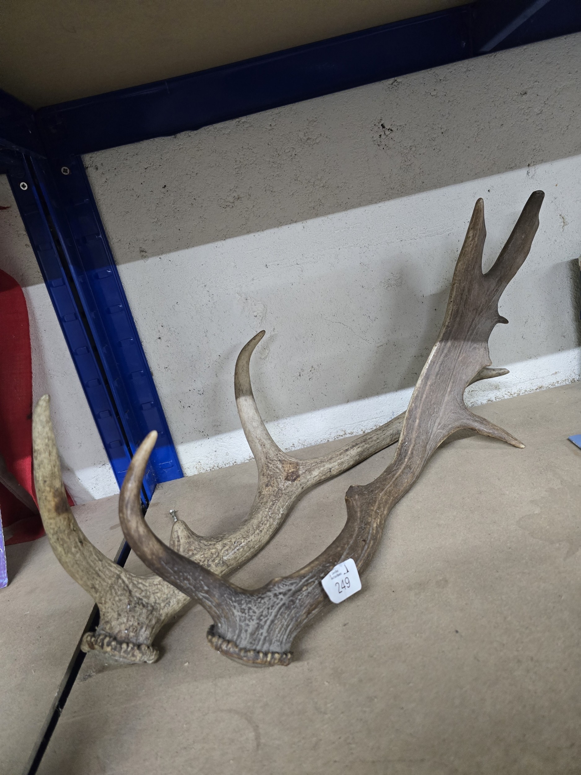 Lot 249