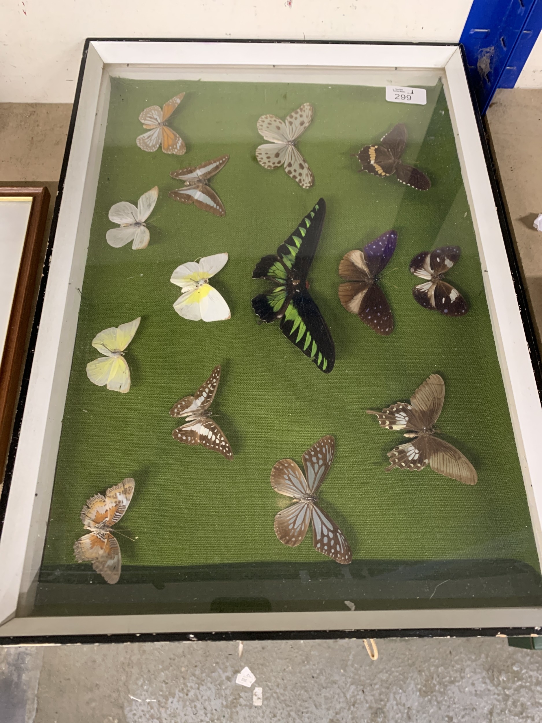 Lot 299