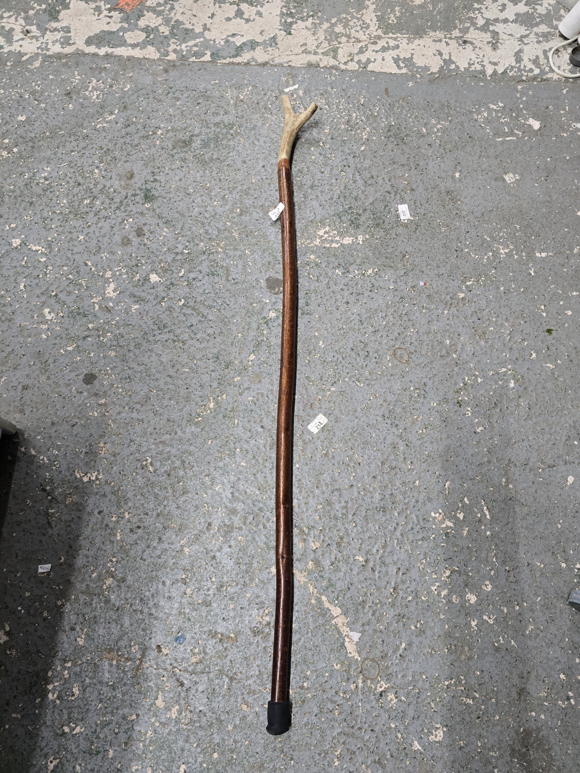 Lot 411