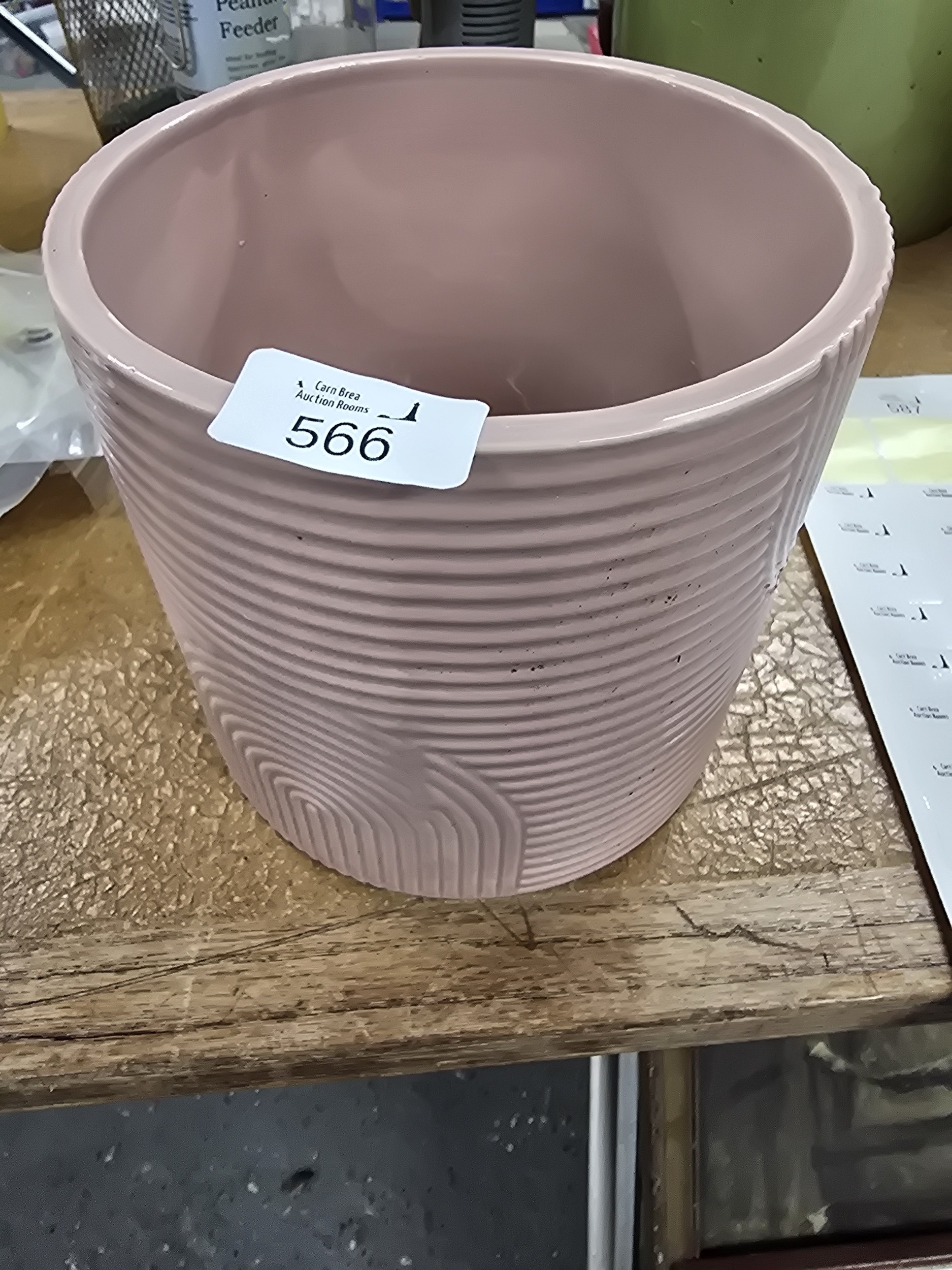 Lot 566