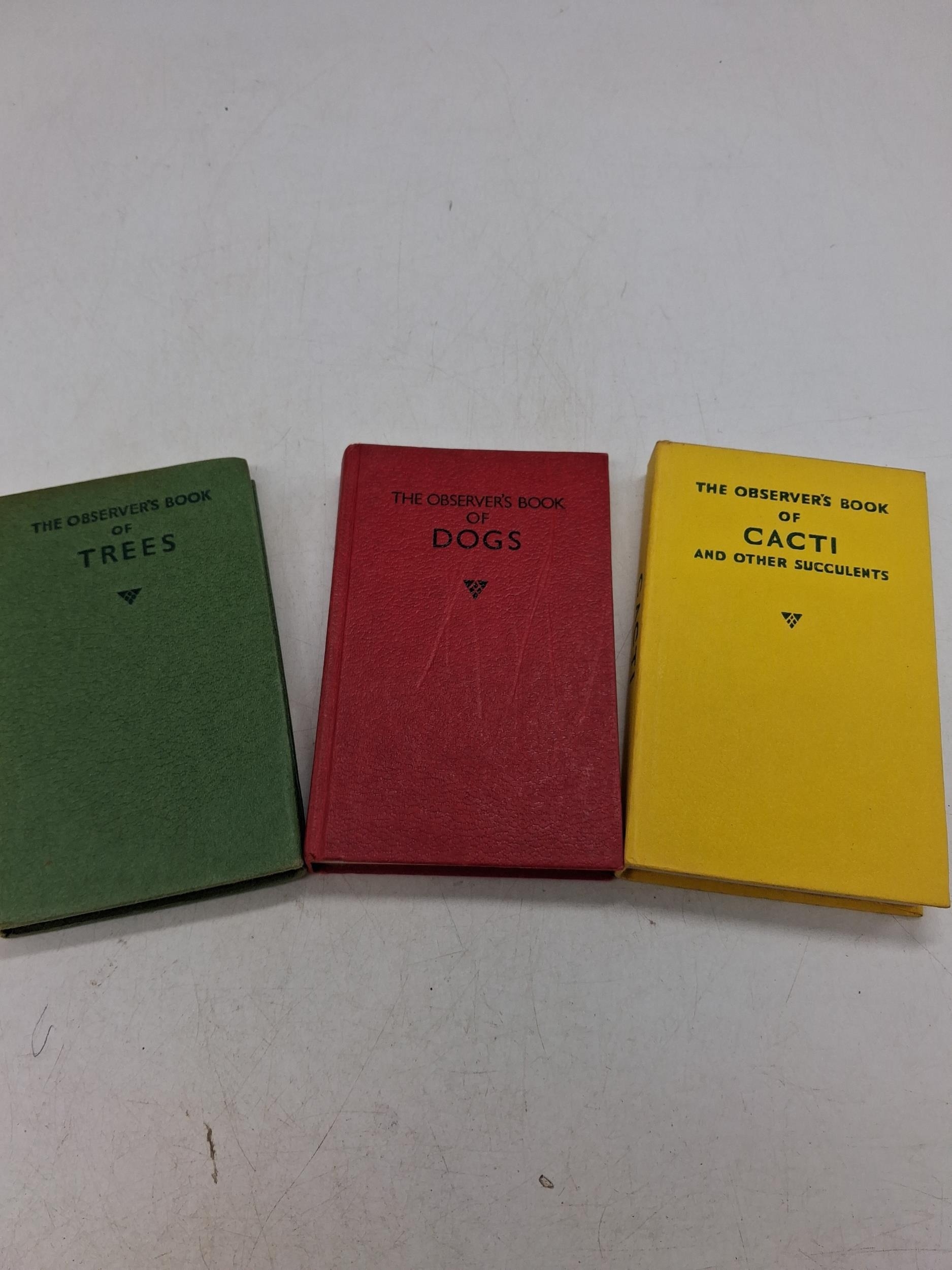 Lot 491