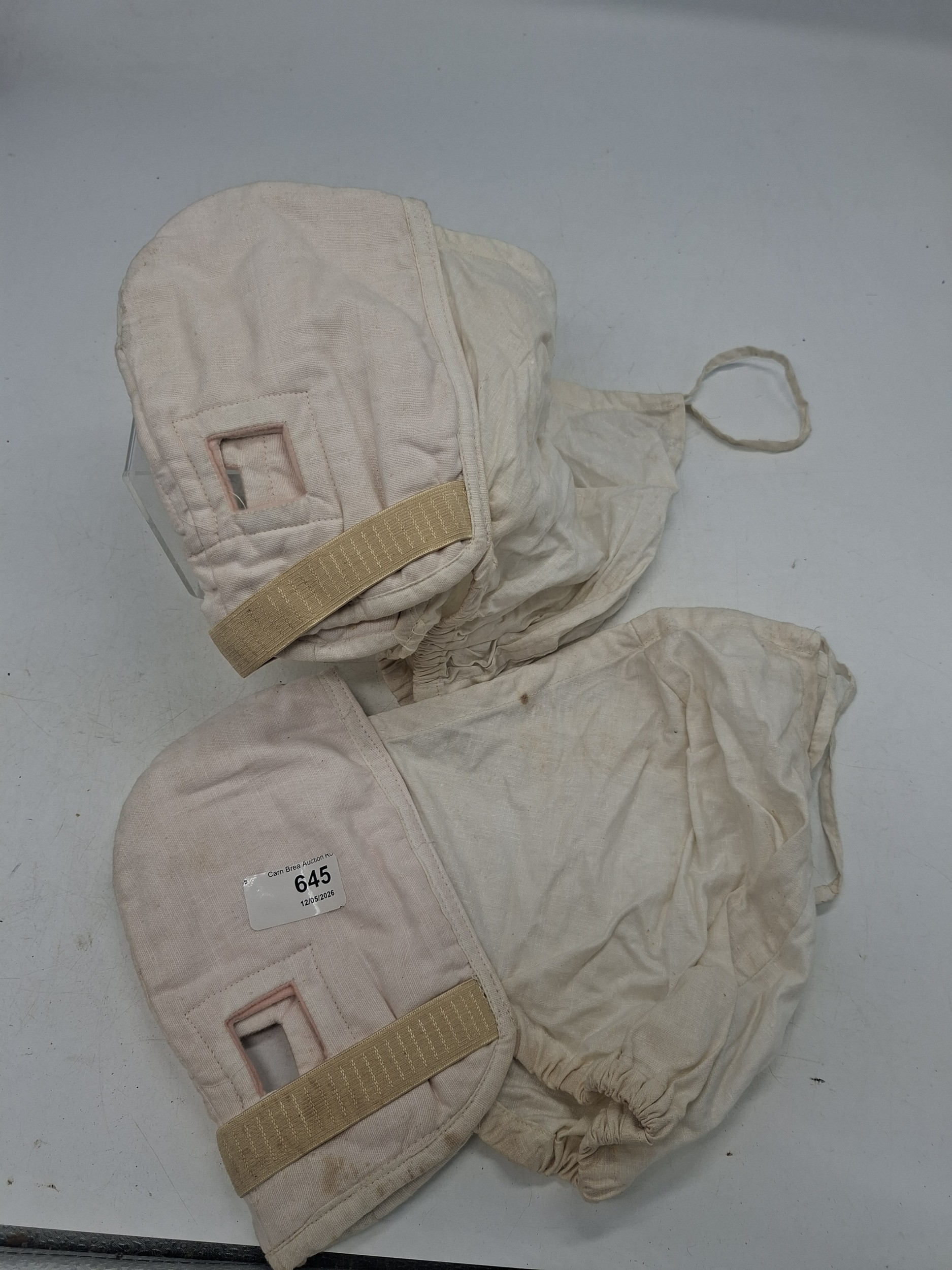 Lot 645