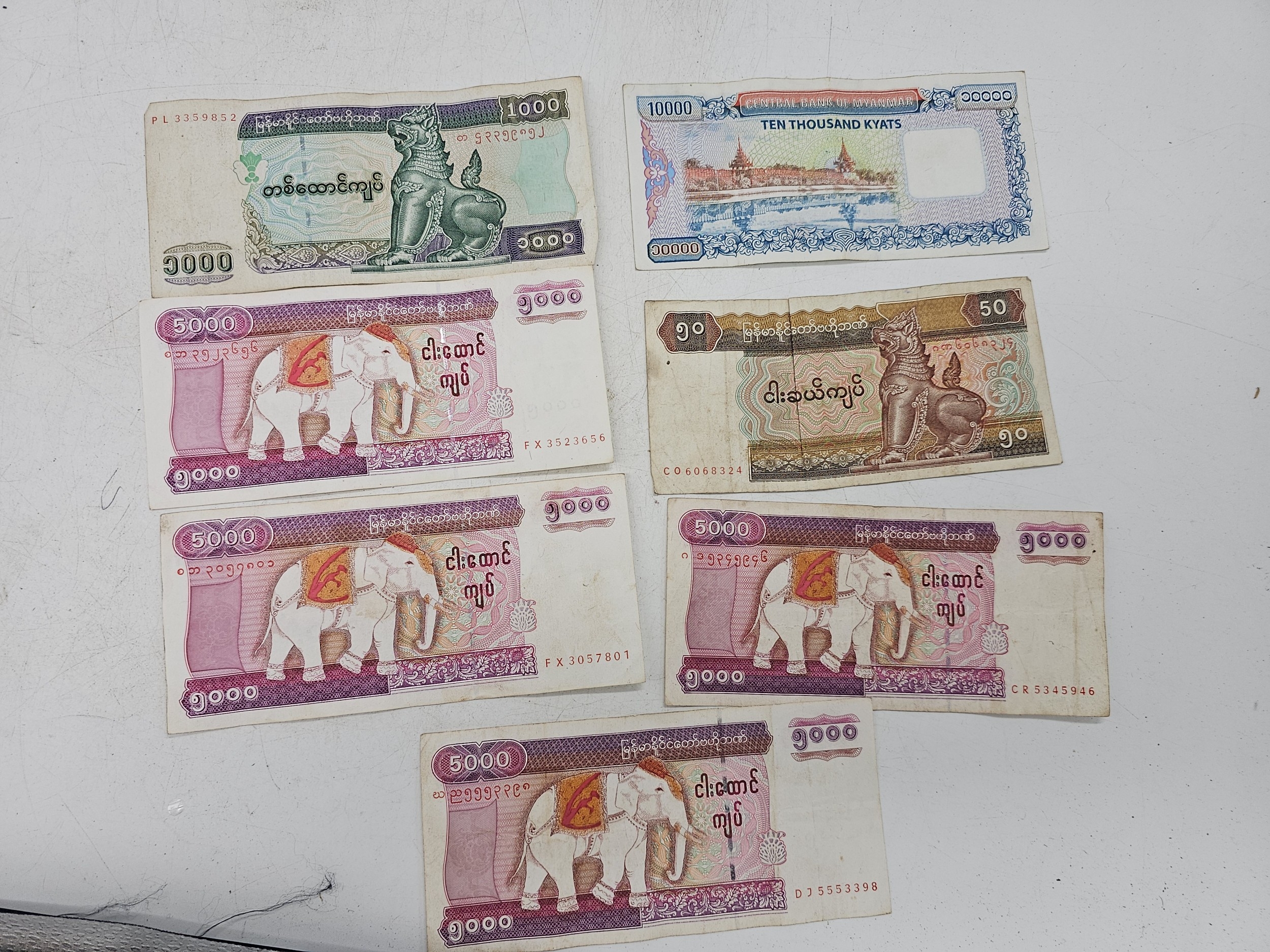 Lot 709