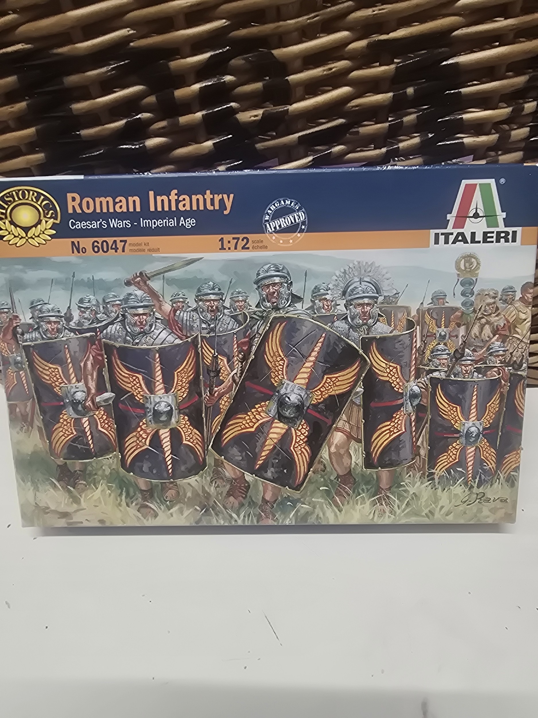 Lot 7