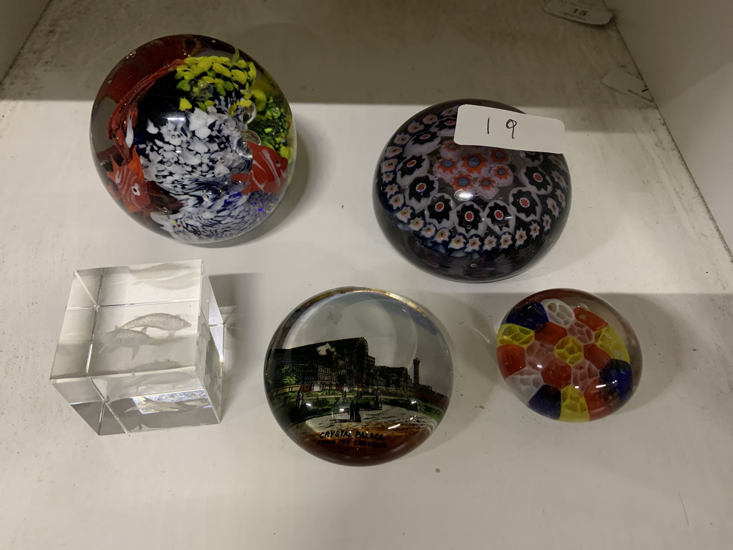 Lot 19