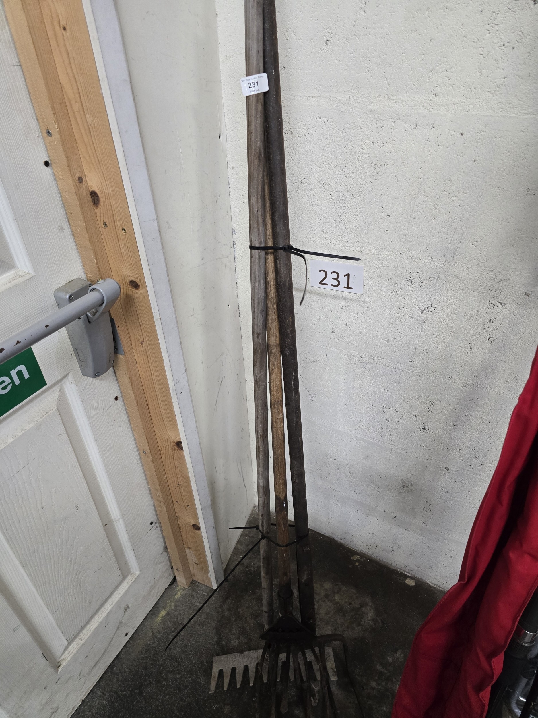 Lot 231