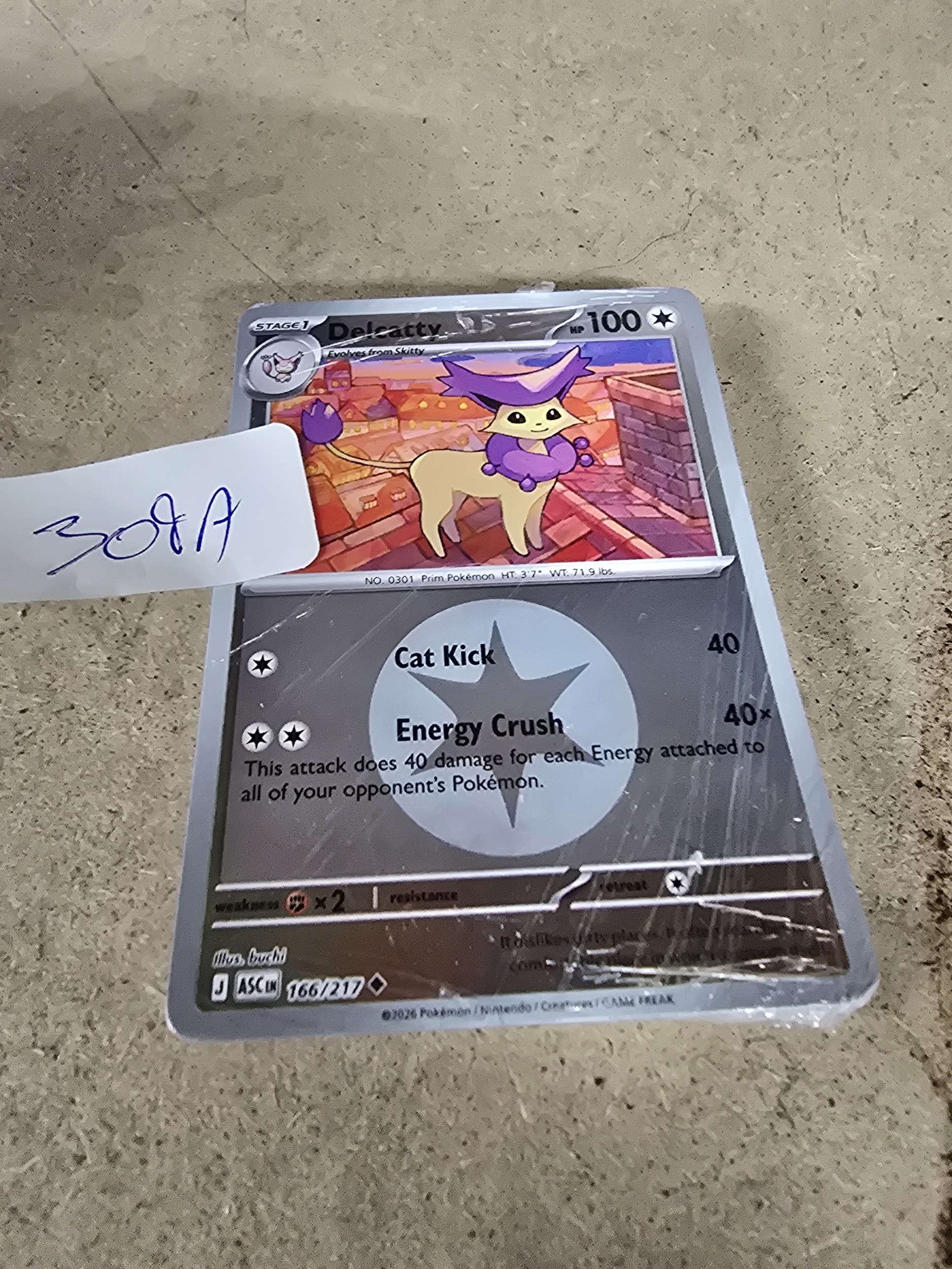Lot 309a