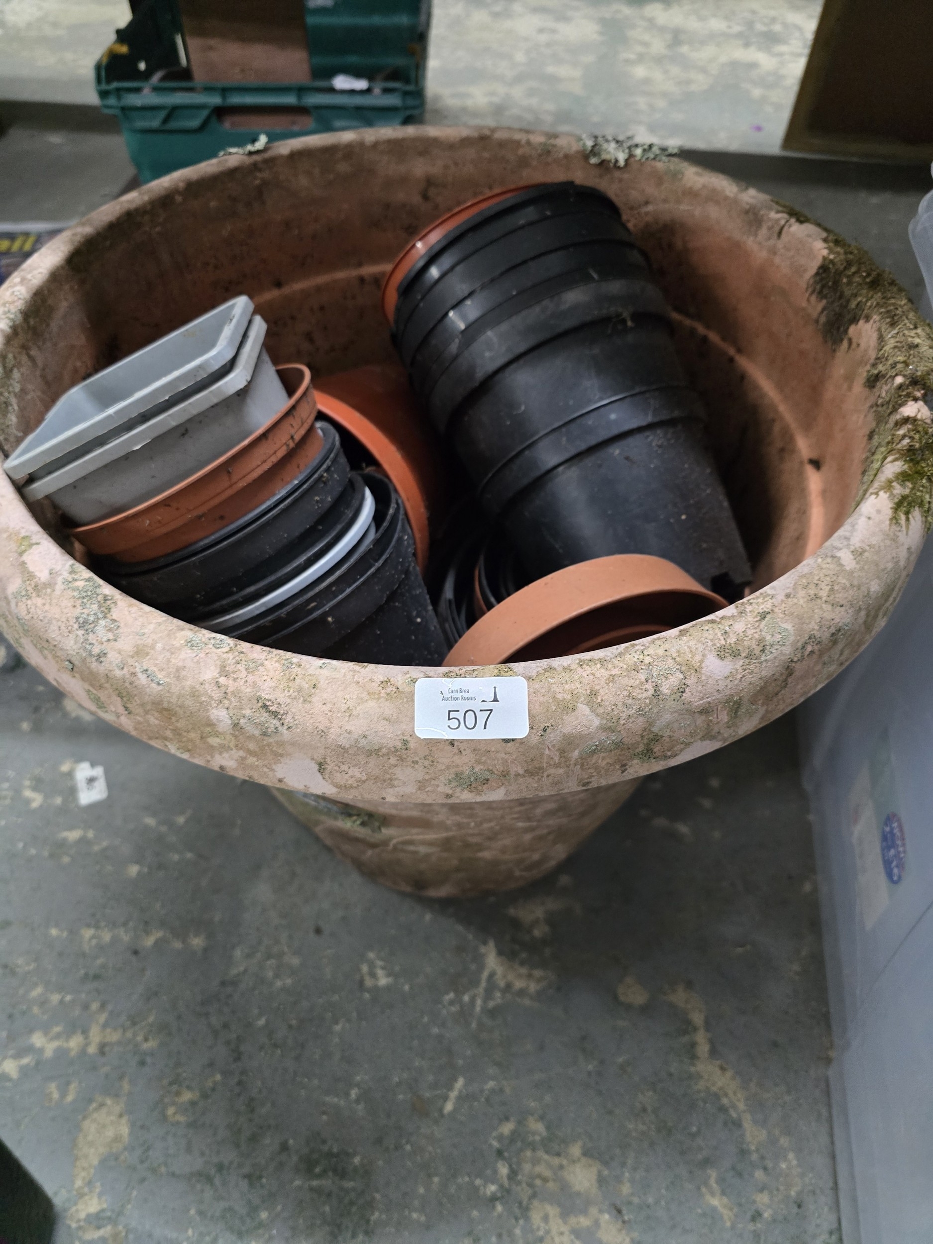 Lot 507