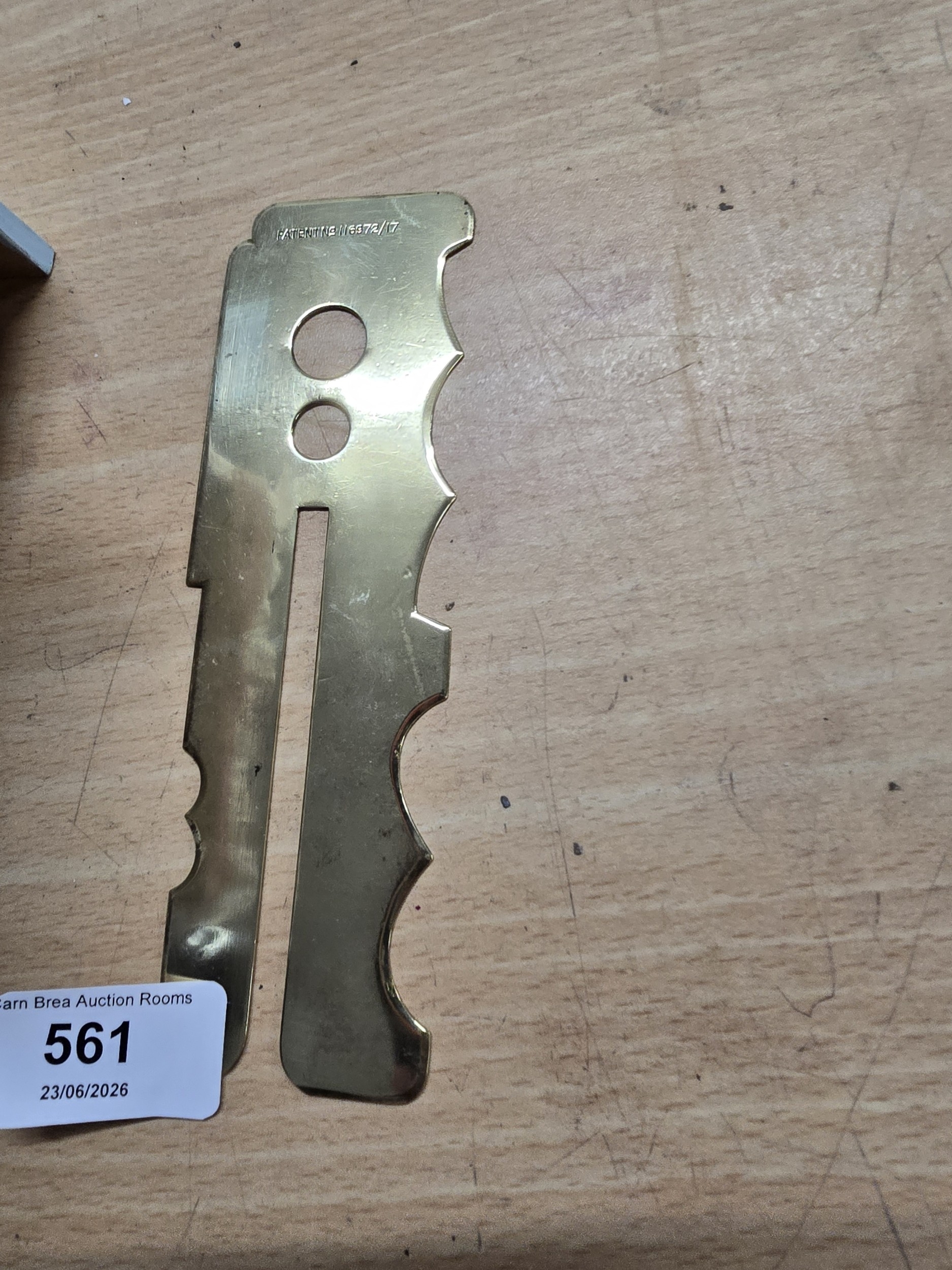 Lot 561