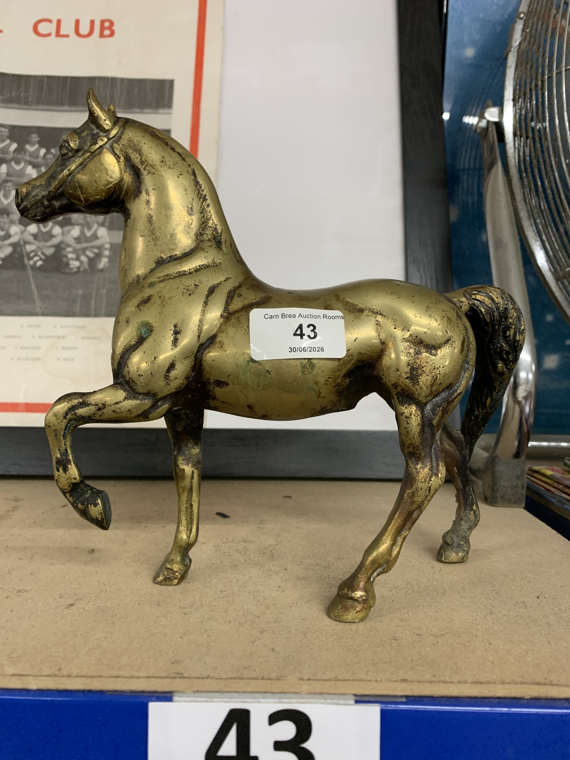 Lot 43