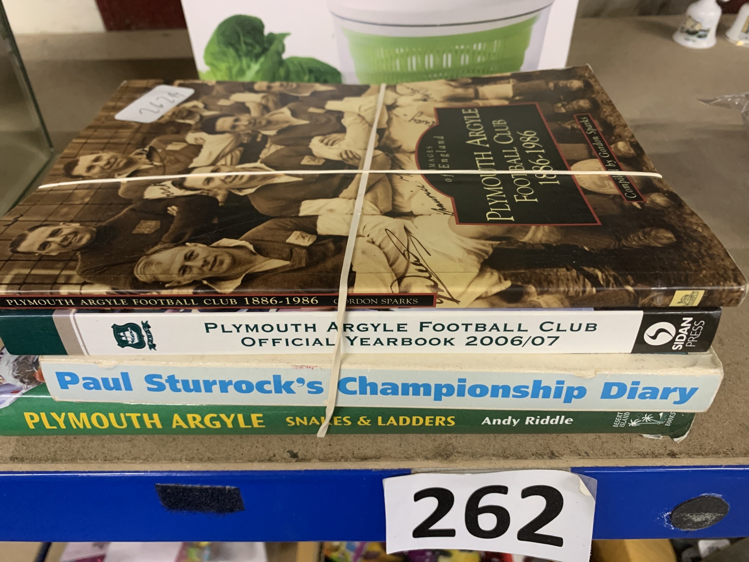 Lot 262a