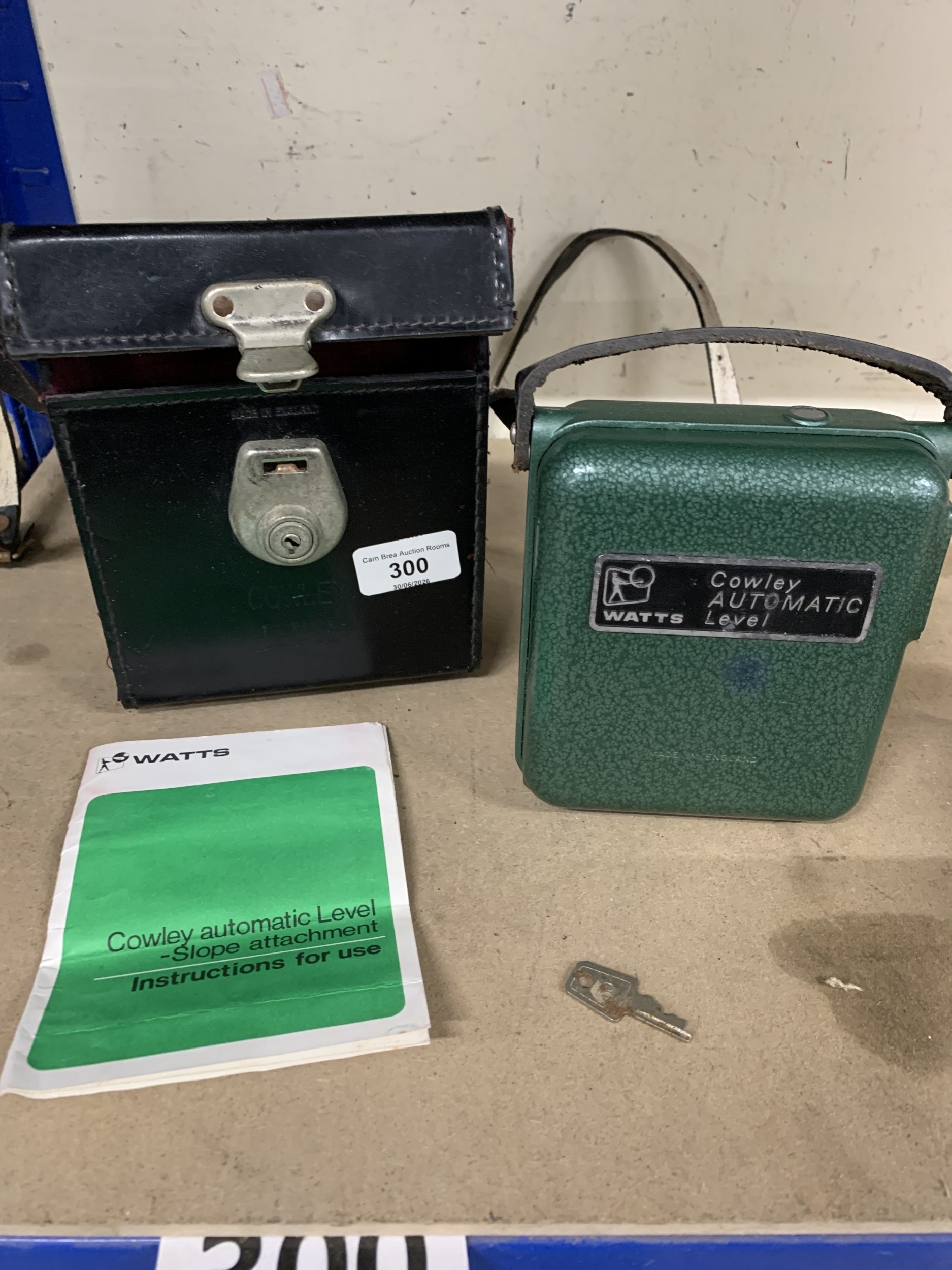 Lot 300