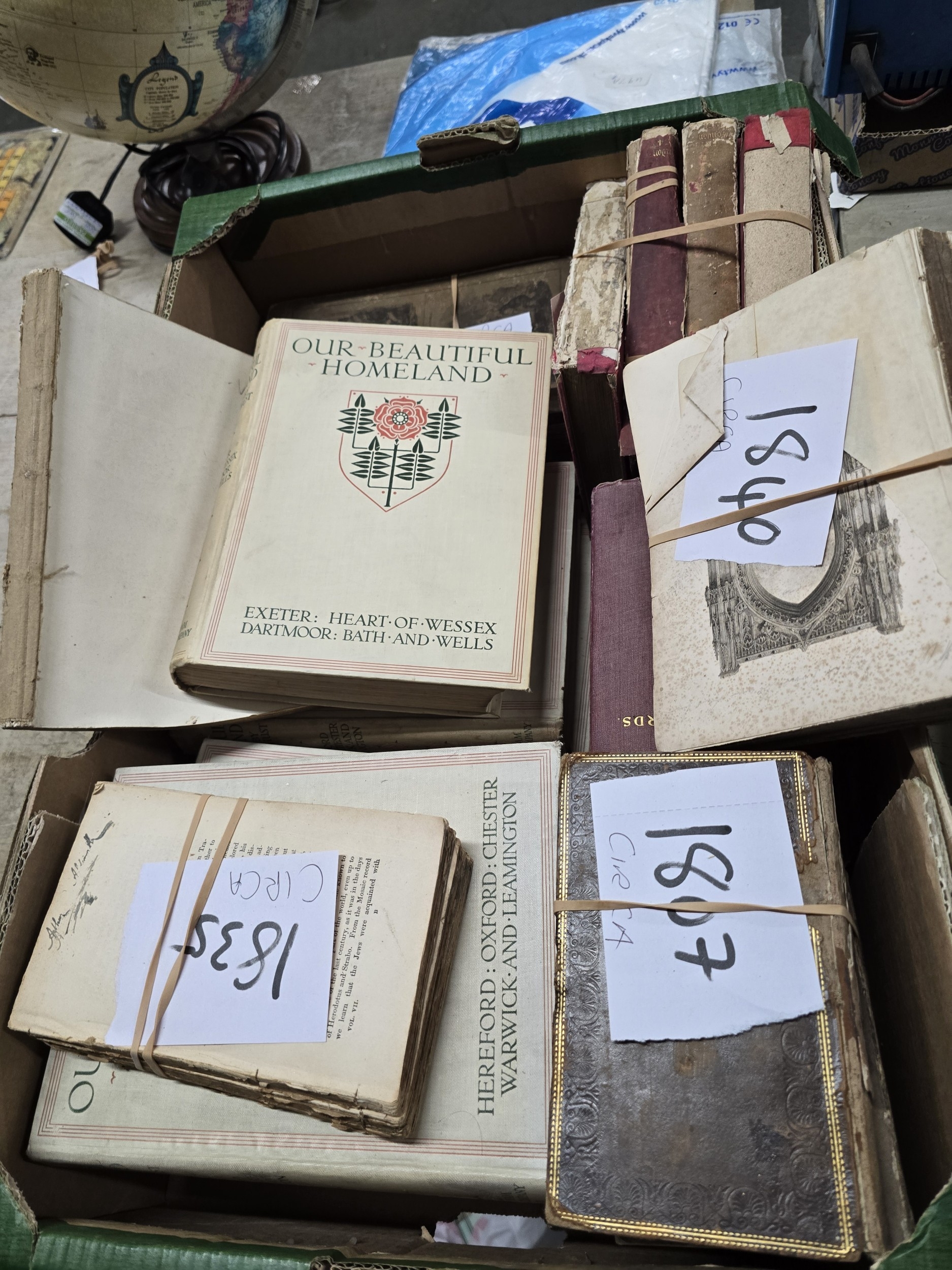 Lot 455