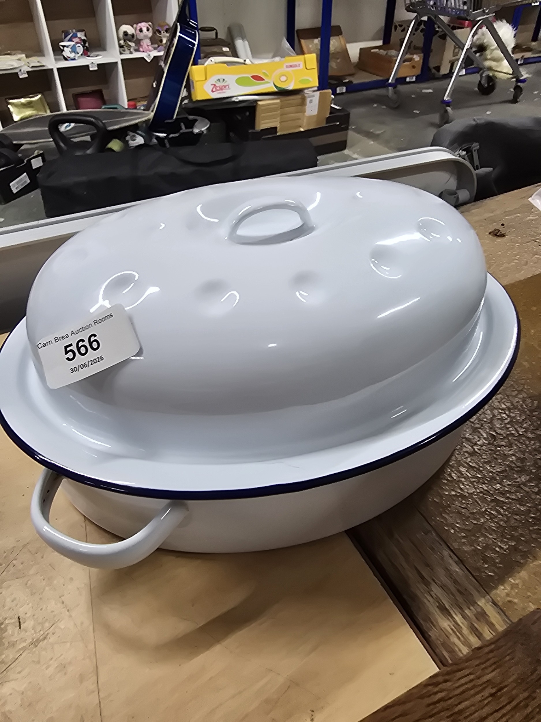 Lot 566
