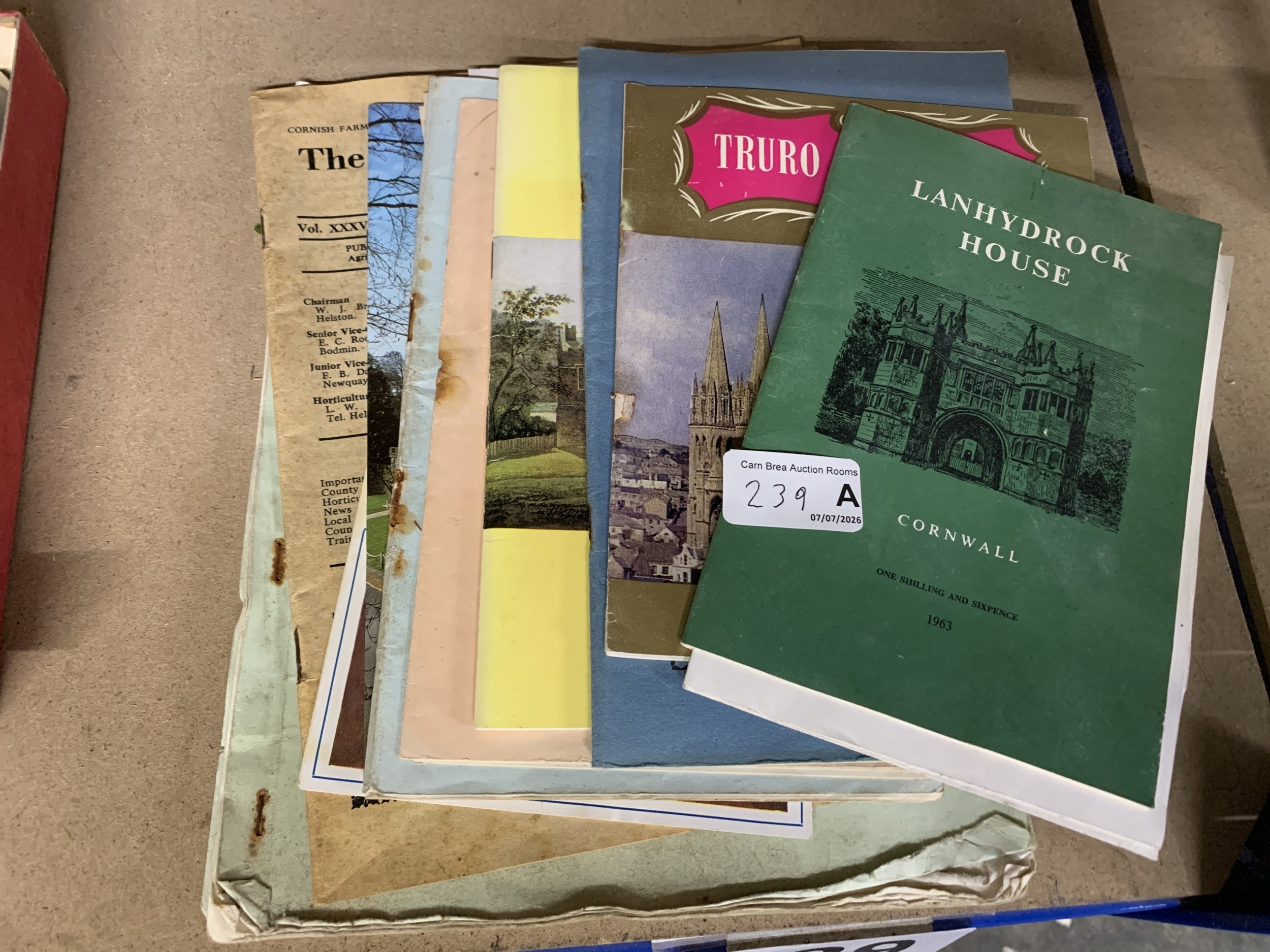 Lot 239a