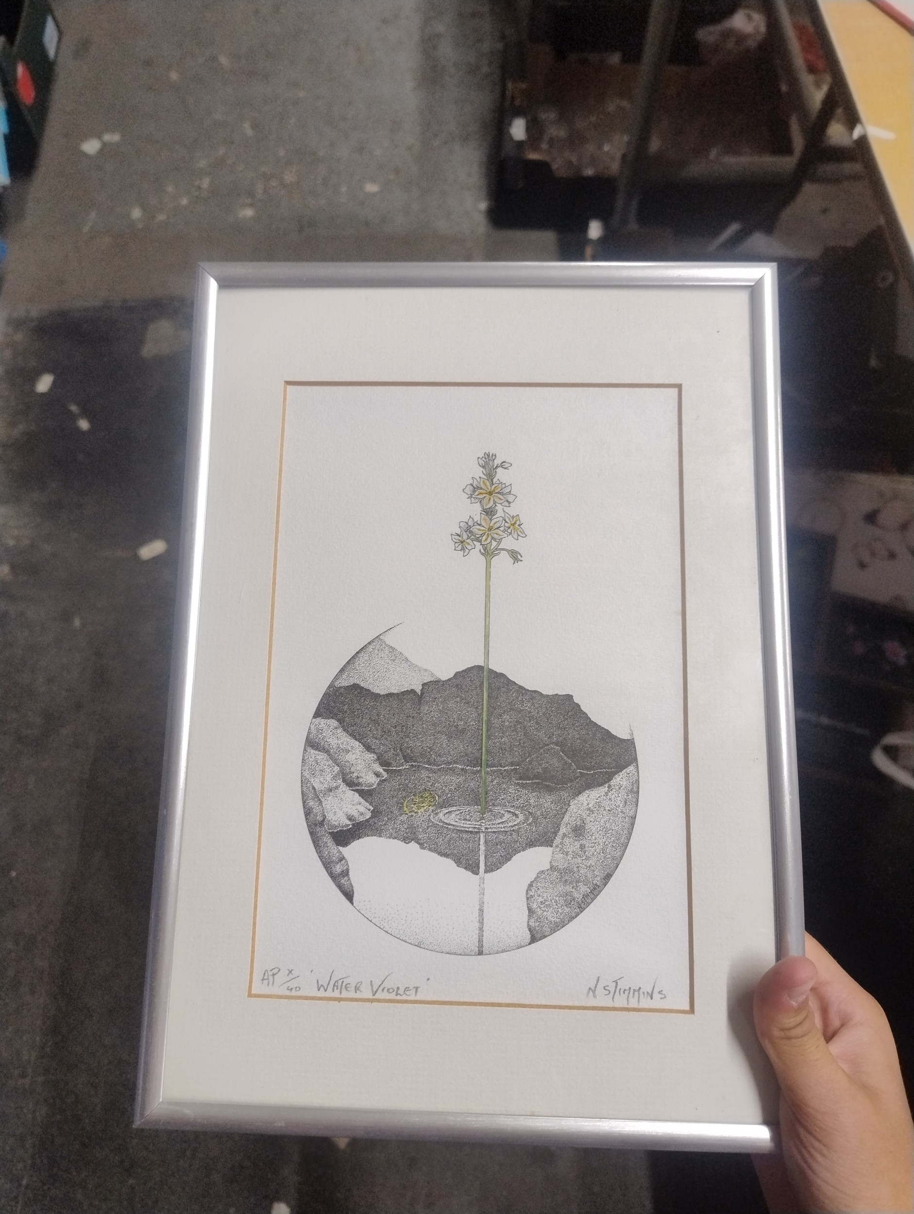 Lot 267
