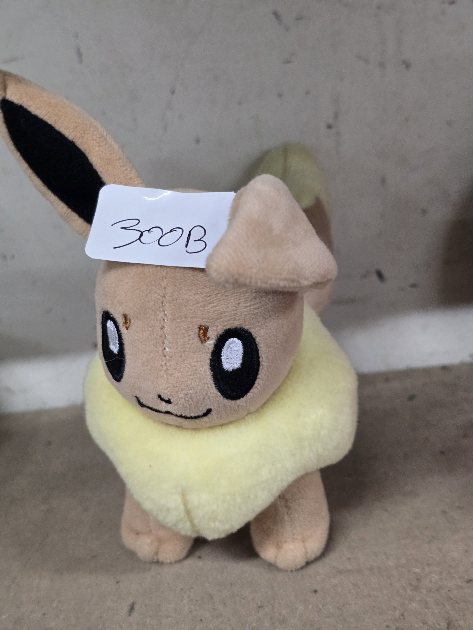 Lot 300b