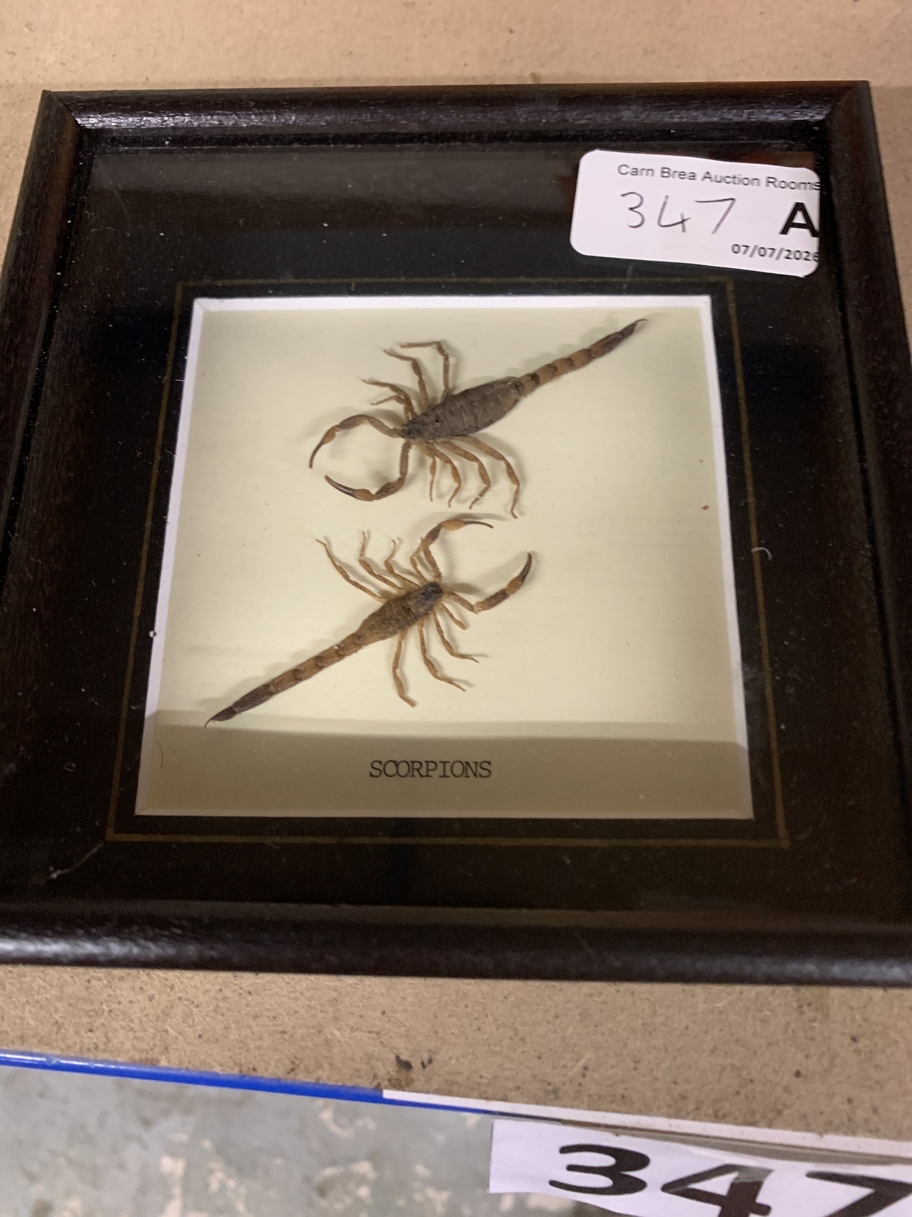Lot 347a