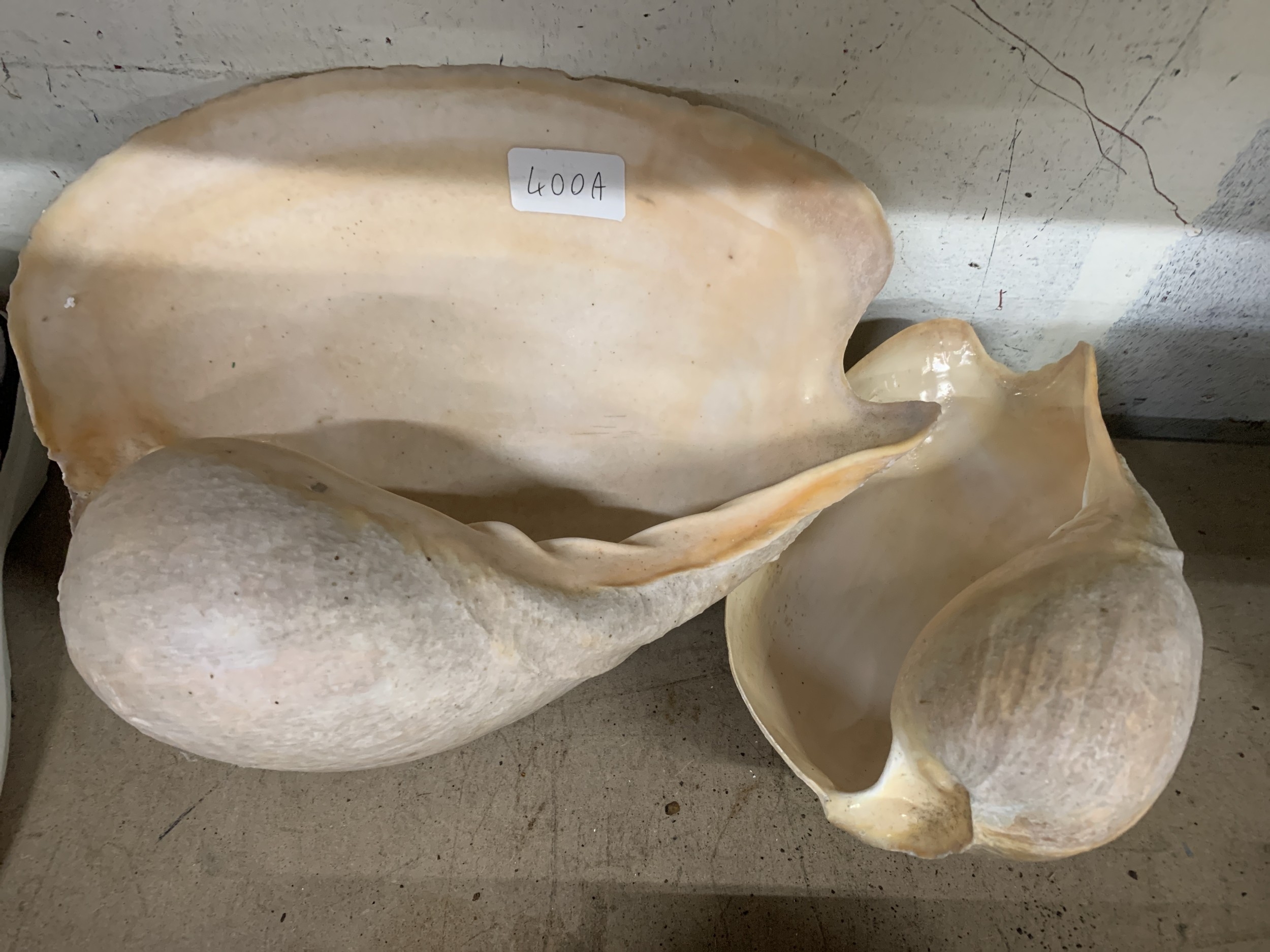 Lot 400a