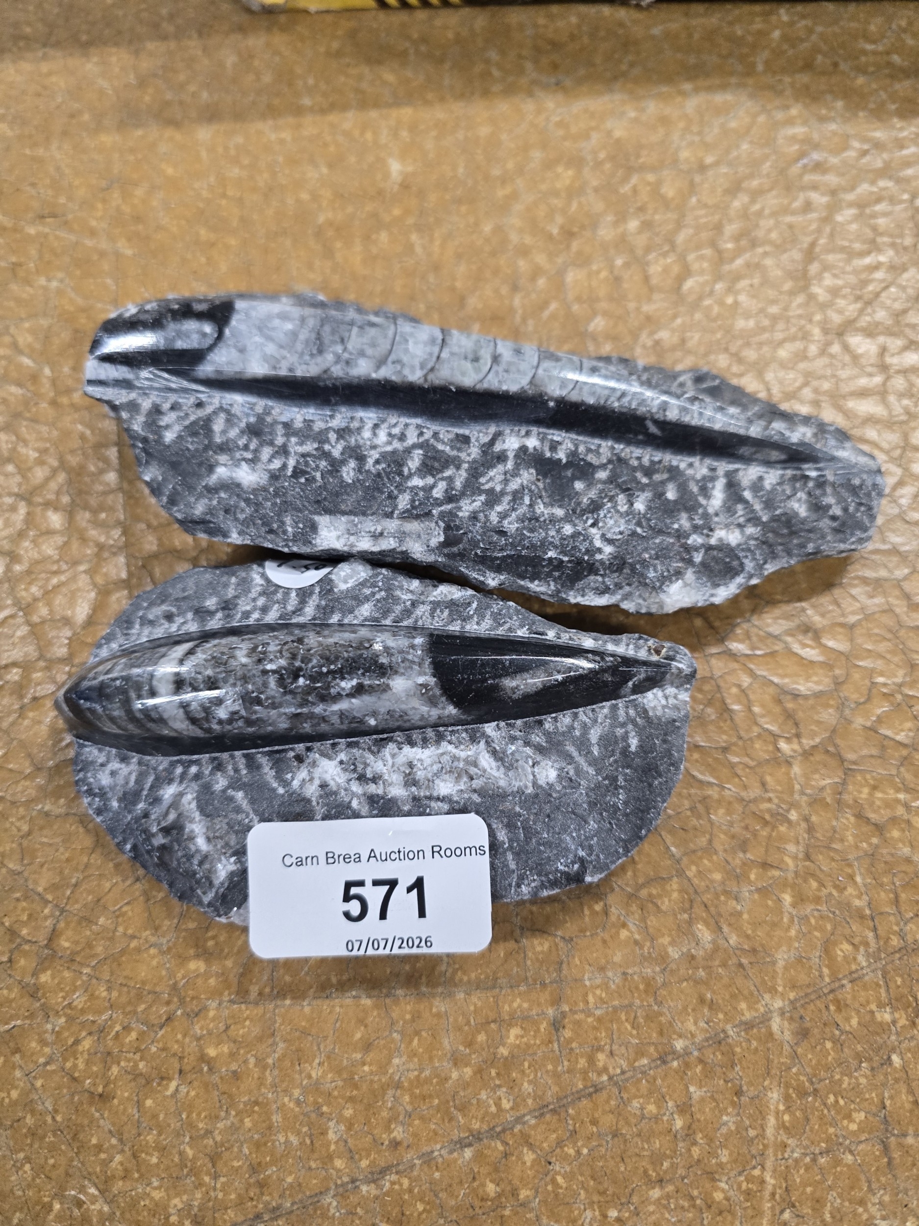 Lot 571