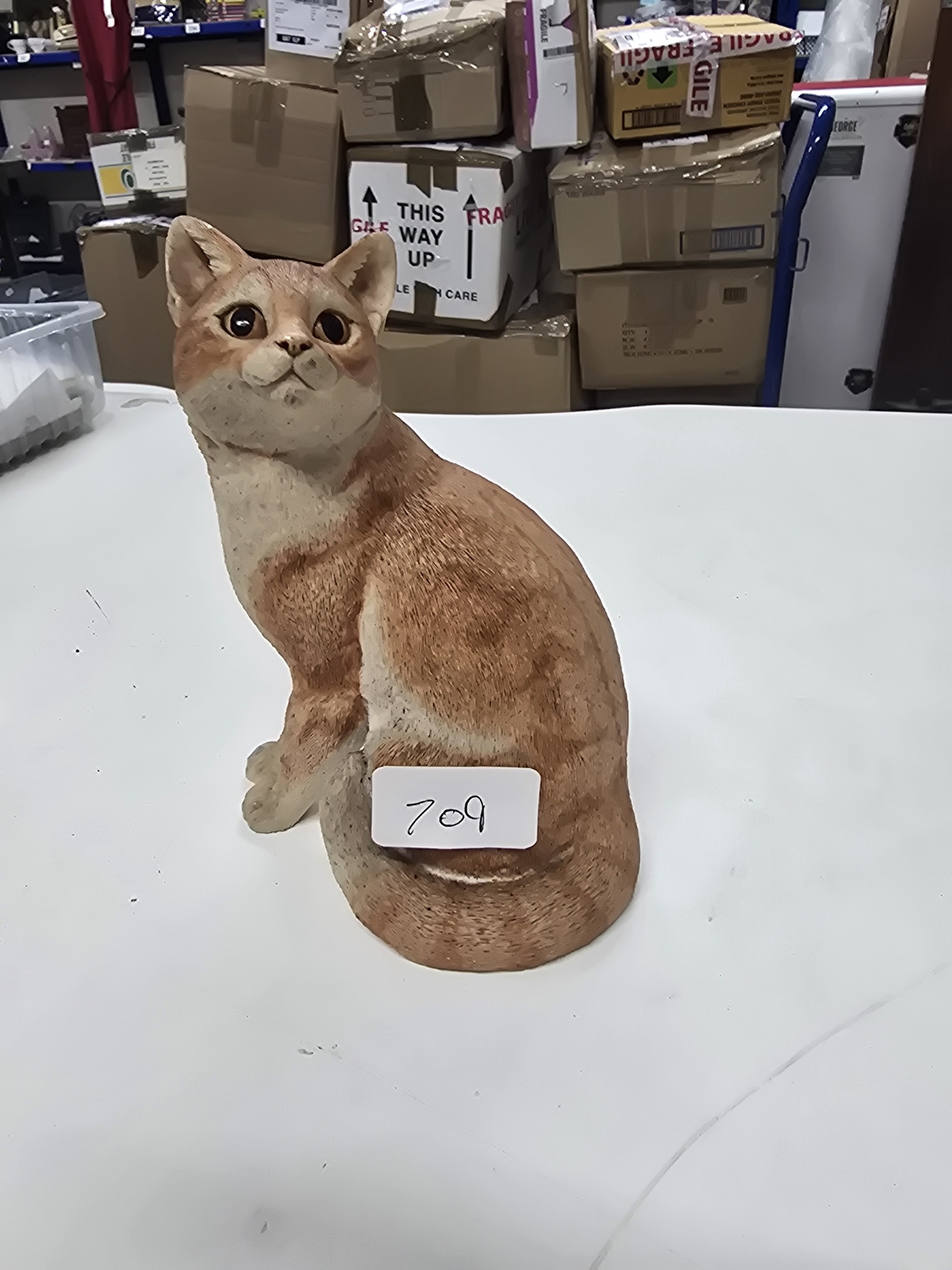 Lot 46