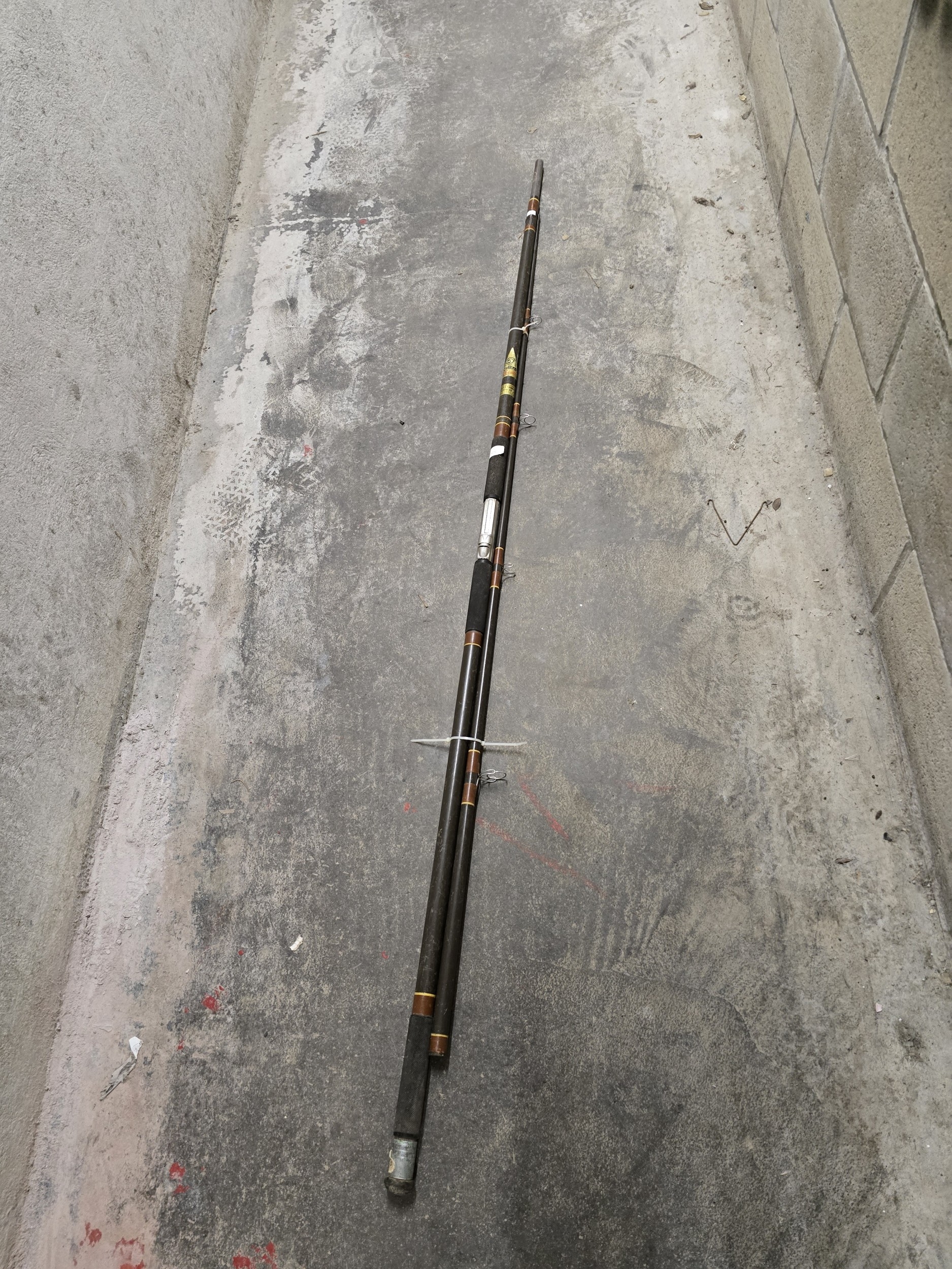 Lot 231