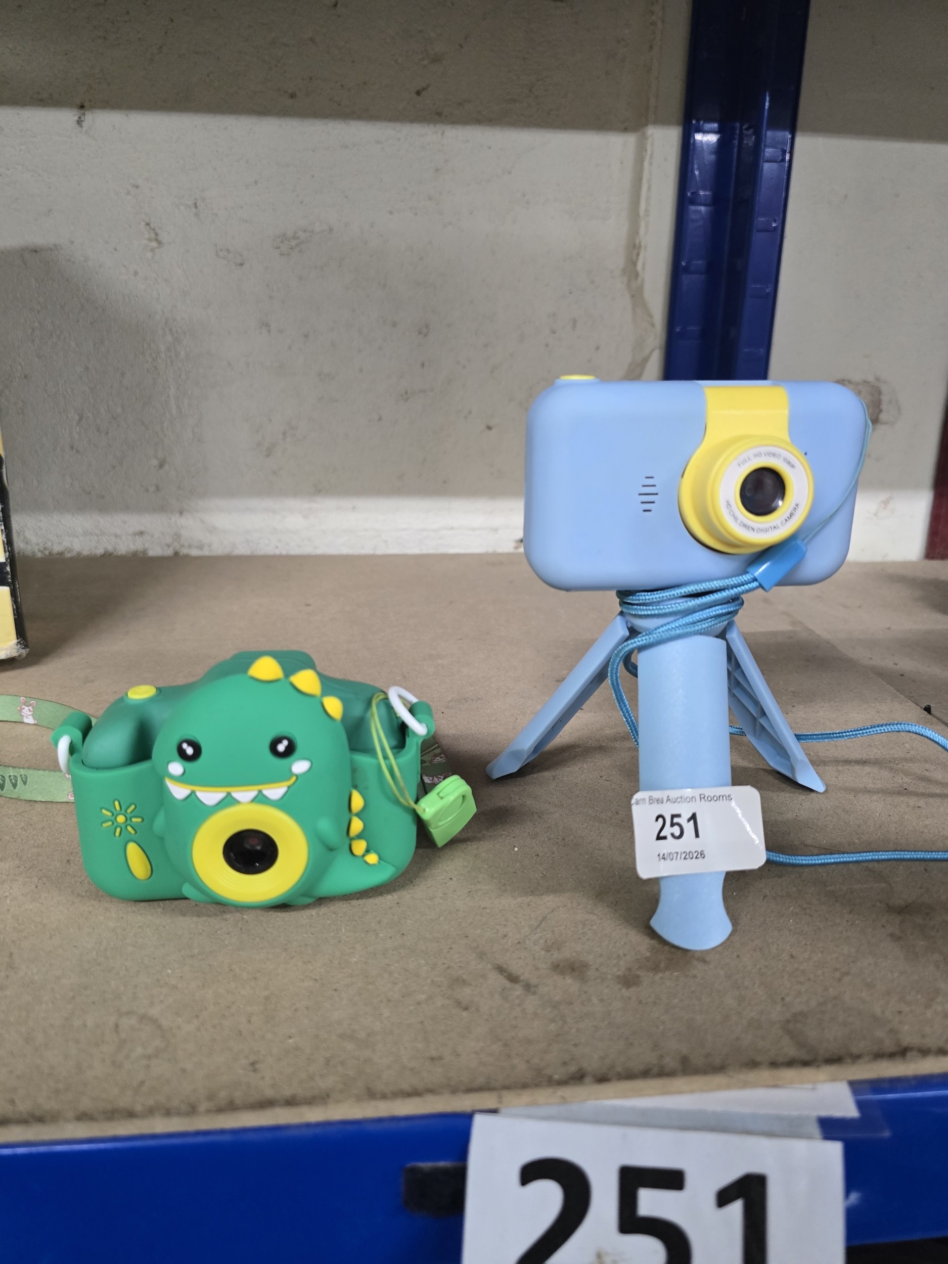 Lot 251