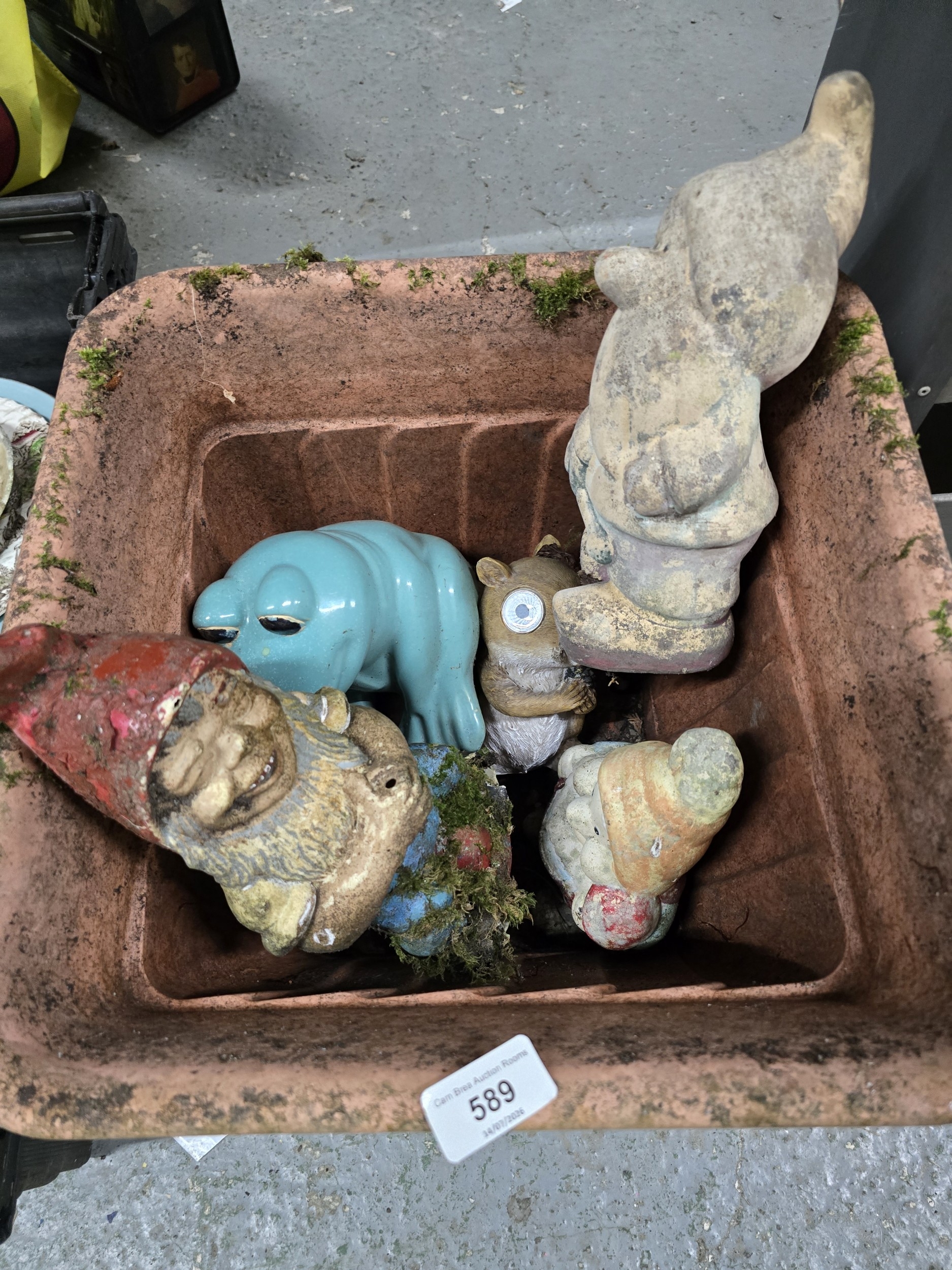 Lot 589
