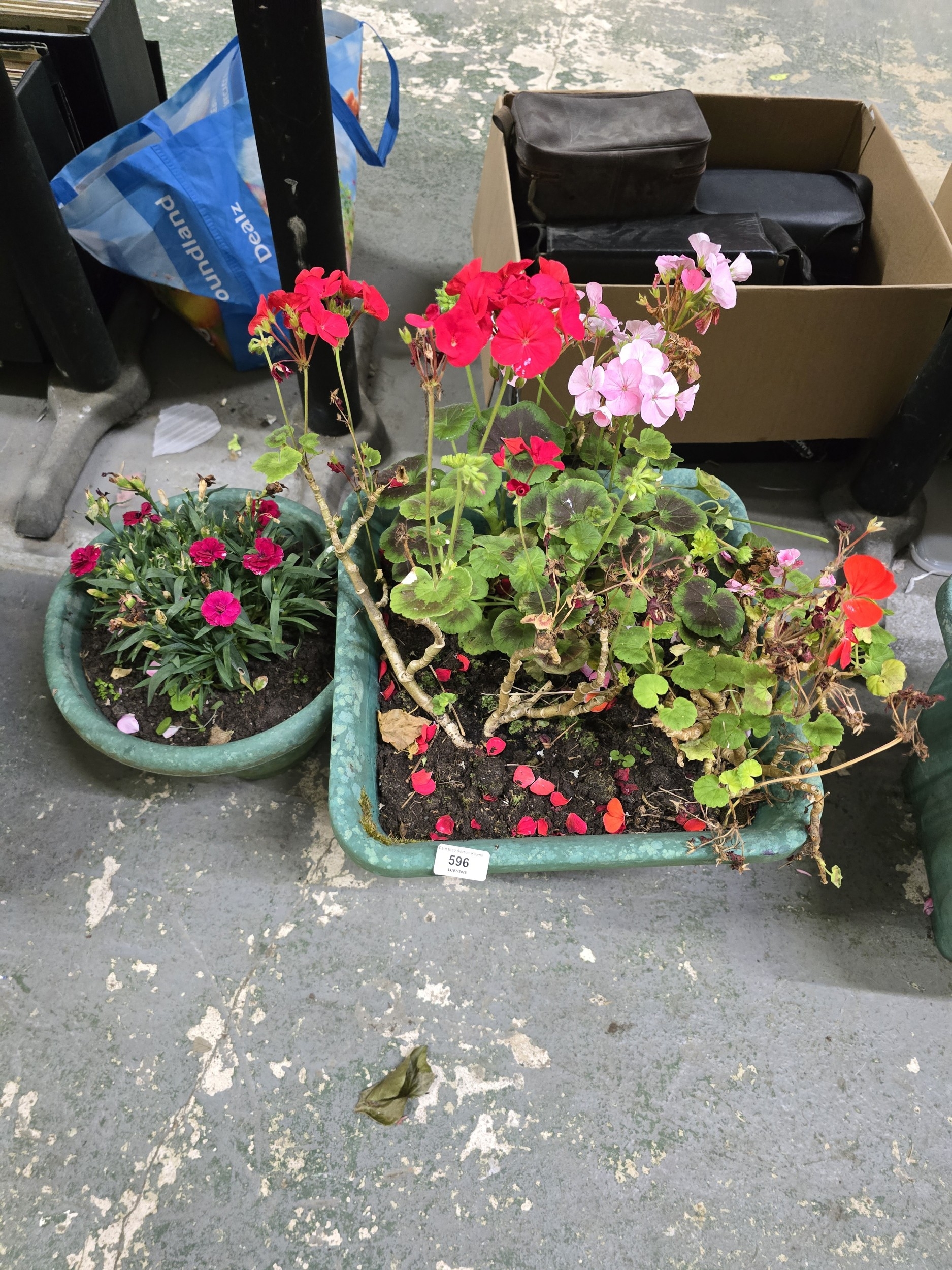 Lot 596