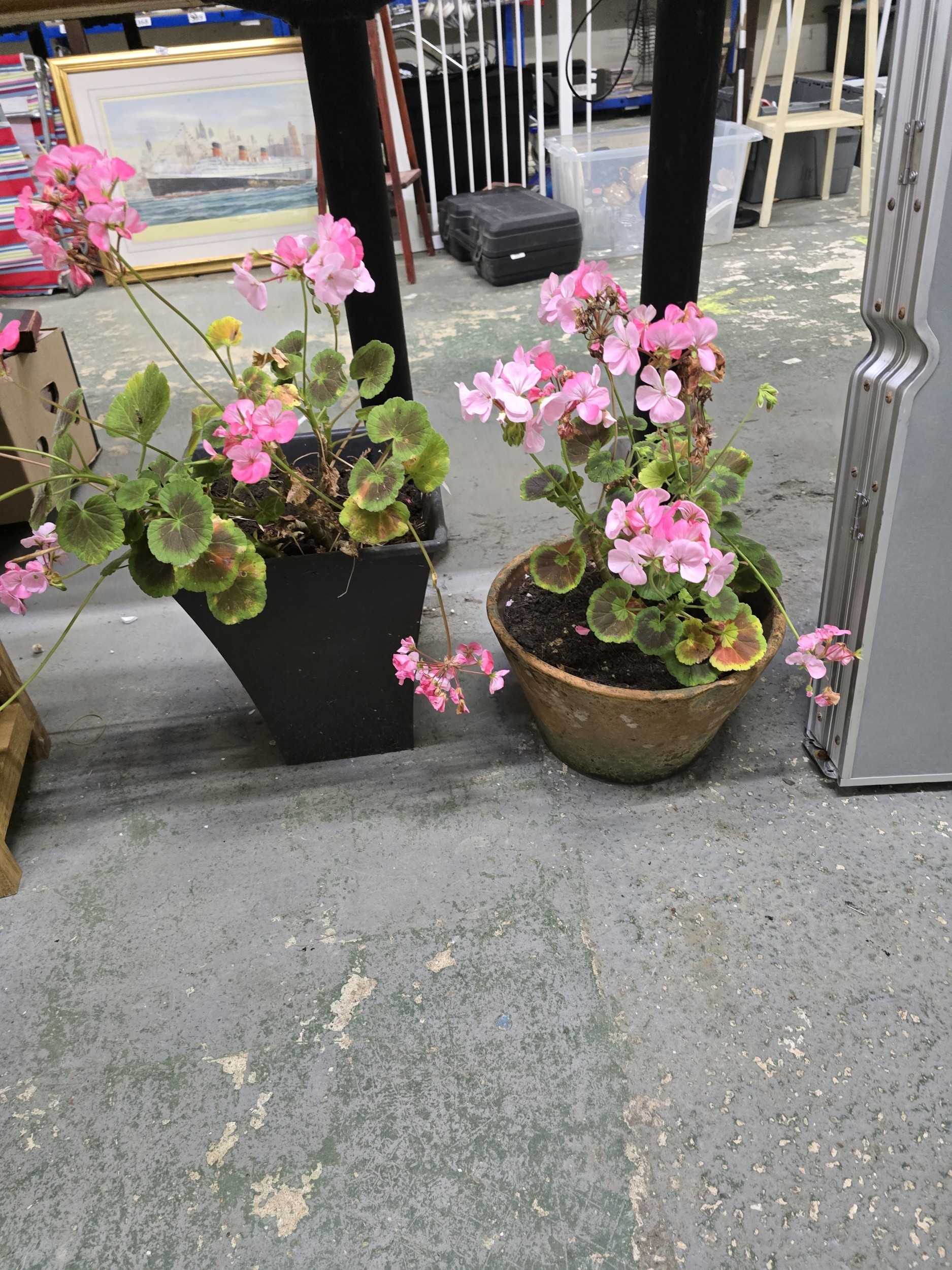 Lot 598