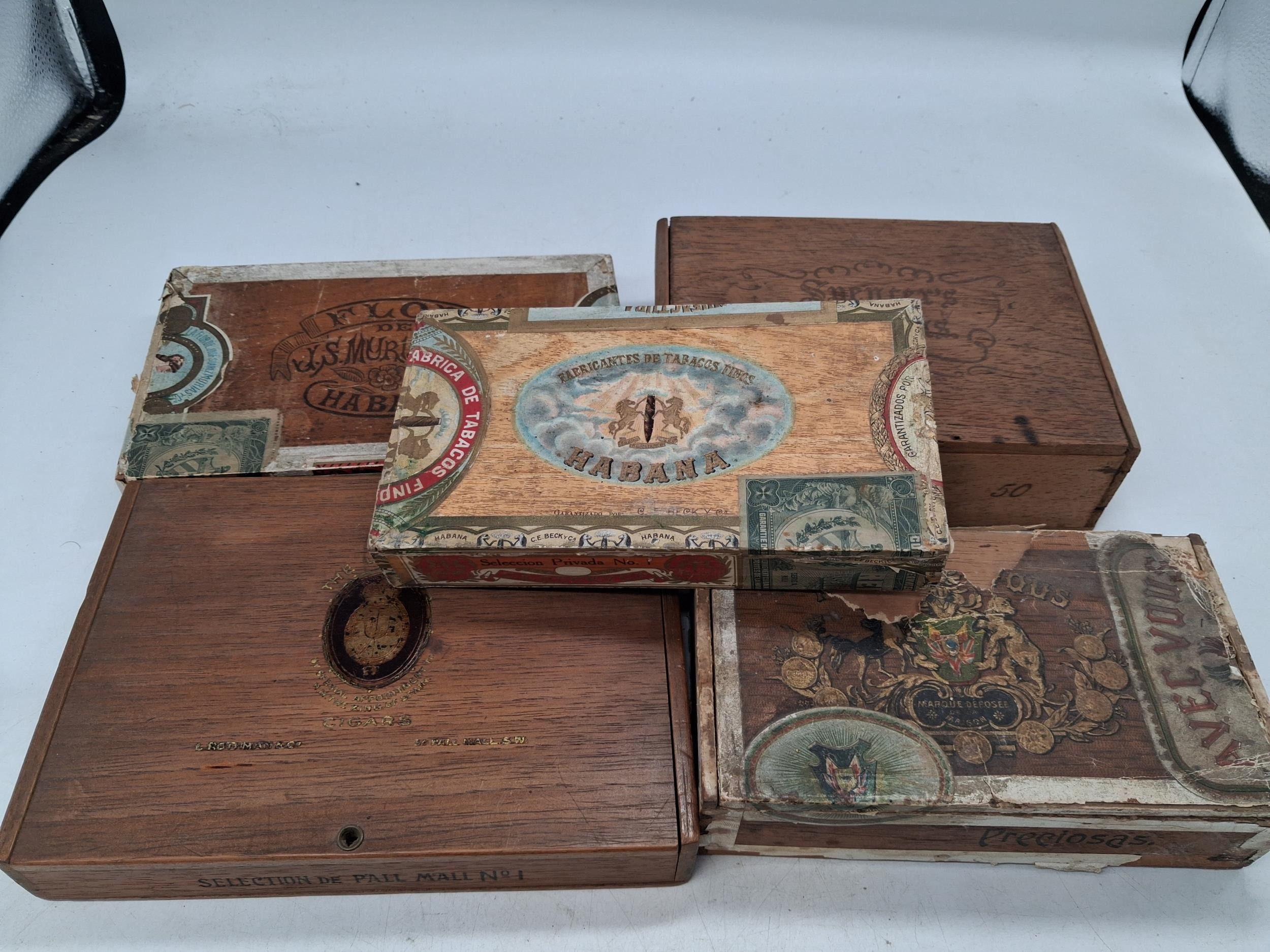 Lot 344