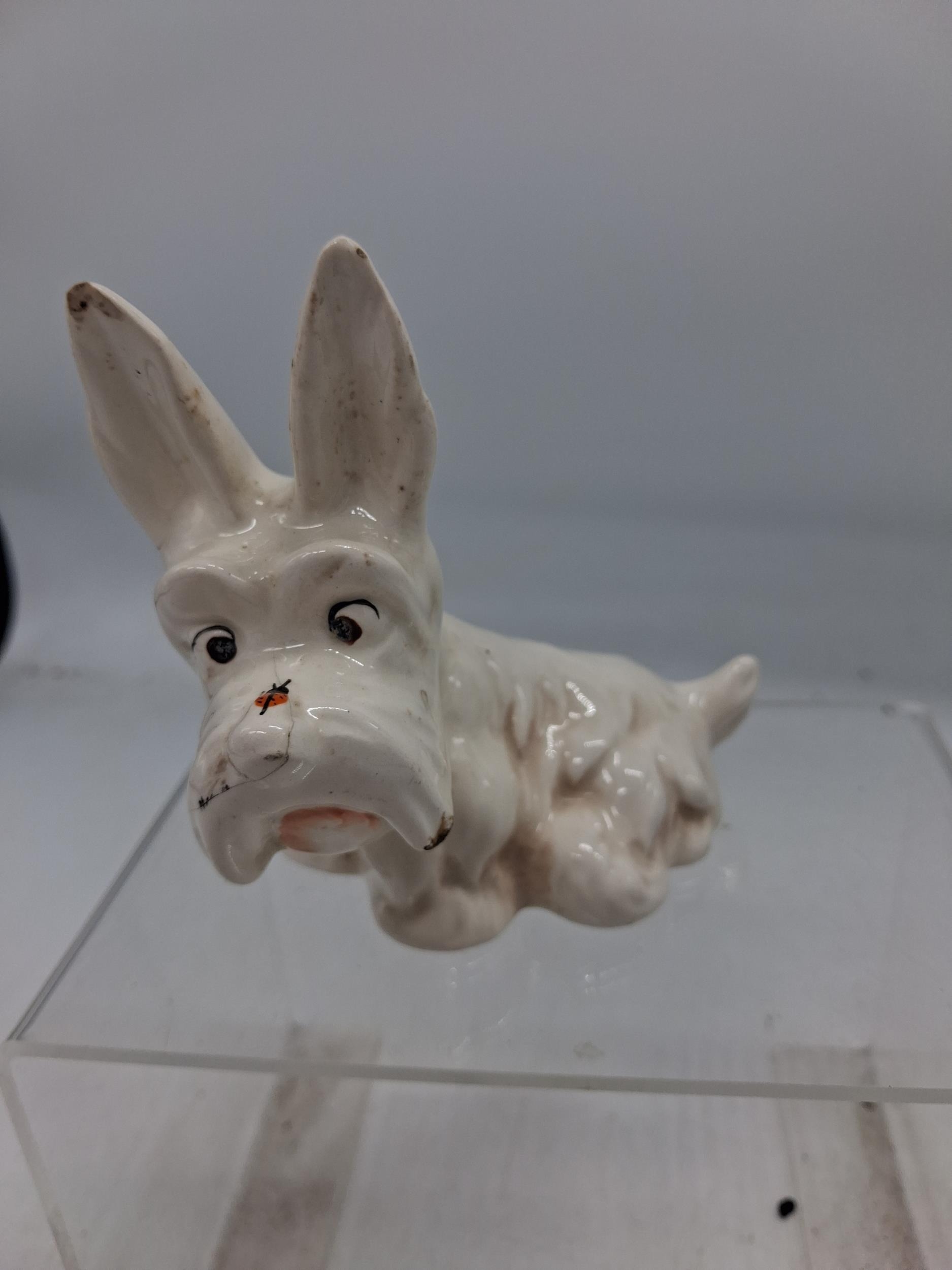 Lot 364